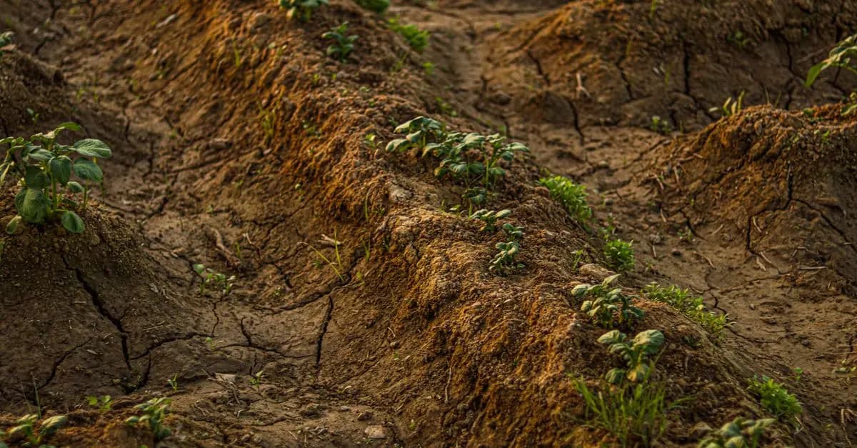 Impact des changements climatiques sur l'agriculture moderne