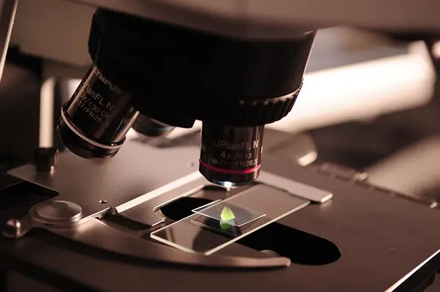 Analyse des récentes découvertes scientifiques à ne pas manquer
